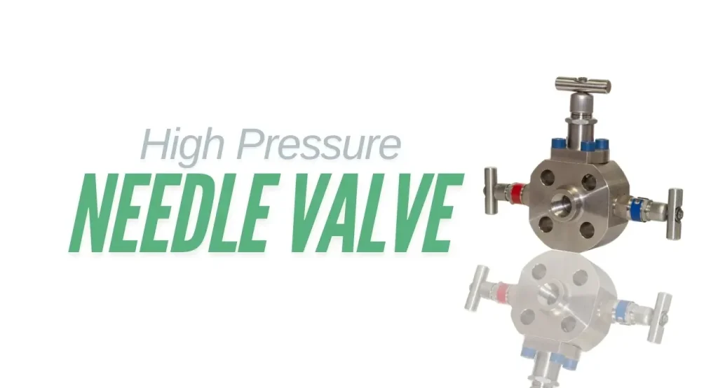 High Pressure Needle Valve Sectors of Working