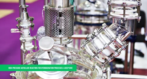 High-Pressure Autoclave Reactors for Hydrogenation Processes
