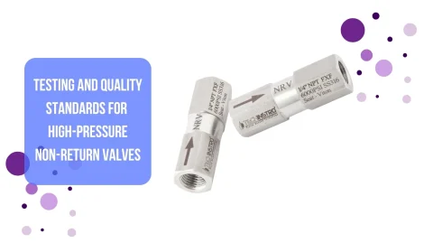 Testing and Quality Standards for High-Pressure Non-Return Valves